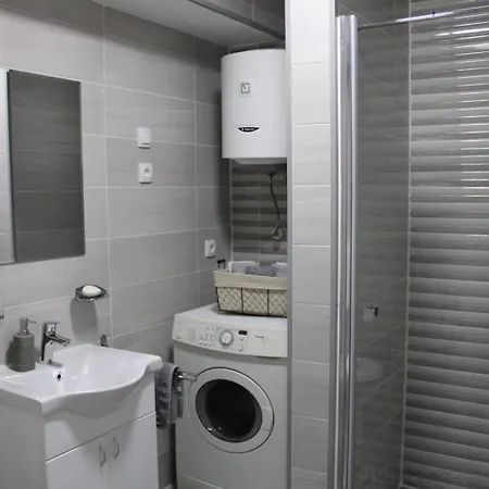 In Silver Apartman Vrsac Exterior photo